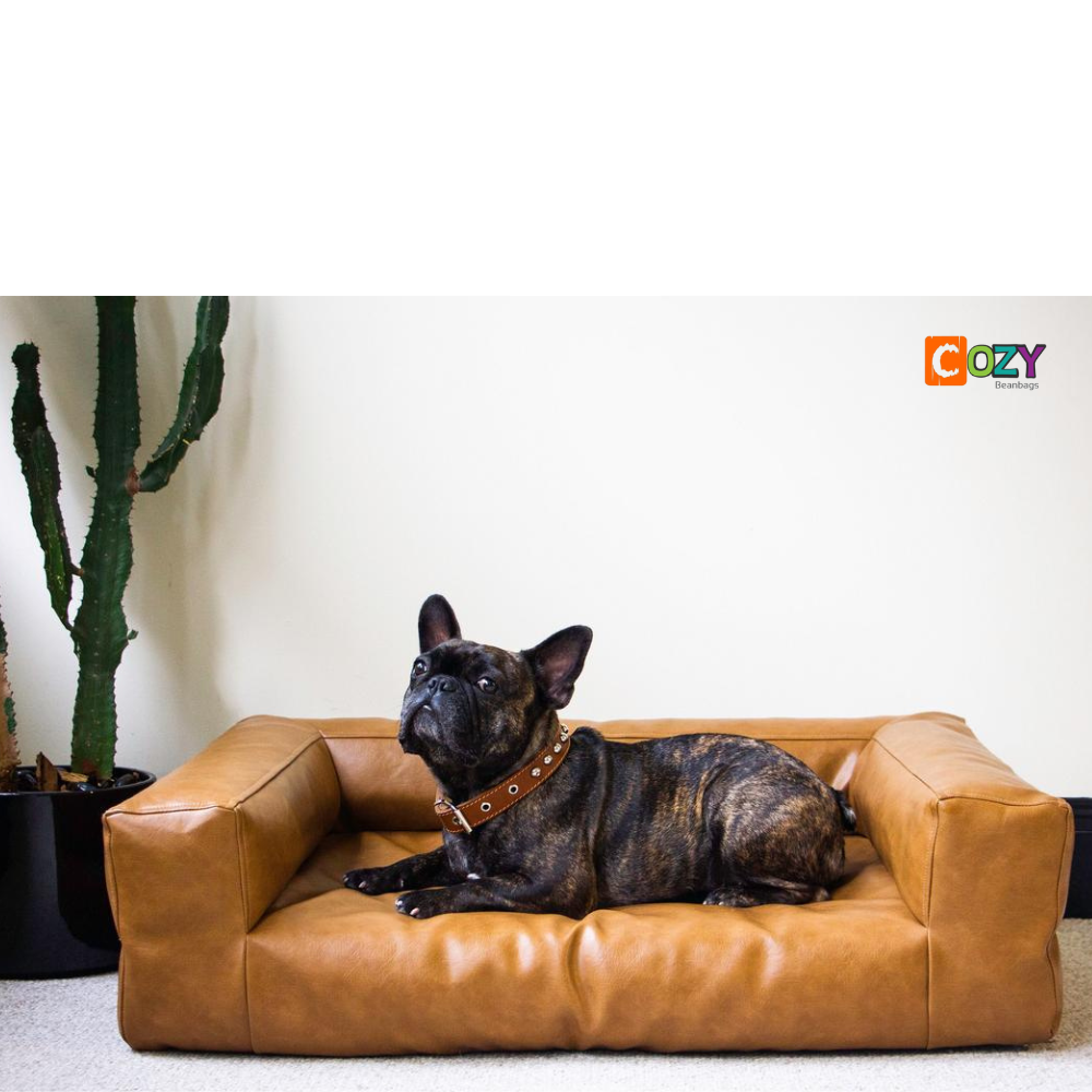 cozy pet beds