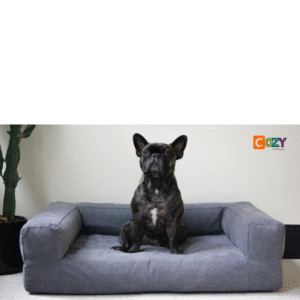 cozy pet beds